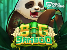 Paygoo casino16